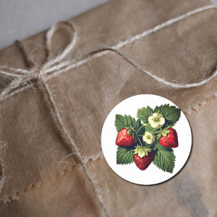 Vintage strawberries classic round sticker