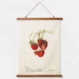 Vintage Strawberries Drawing Art Hanging Tapestry