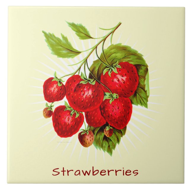 Vintage Strawberries Fruit Botanical Art Ceramic Tile (Front)