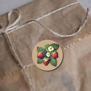 Vintage strawberries no2 classic round sticker