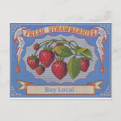 vintage strawberries postcard