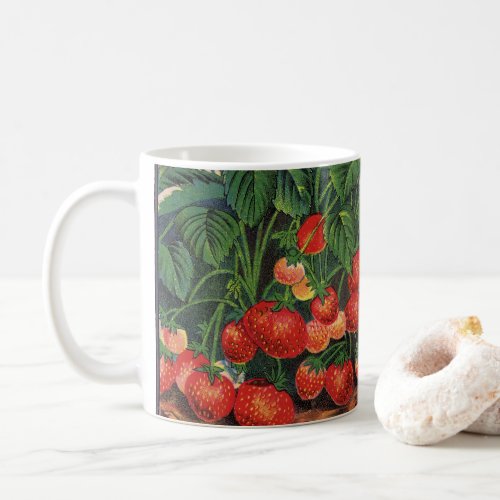 Vintage Strawberries, Strawberry Plants on a Farm