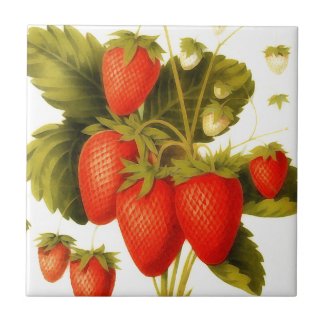 Vintage strawberries with green leaves