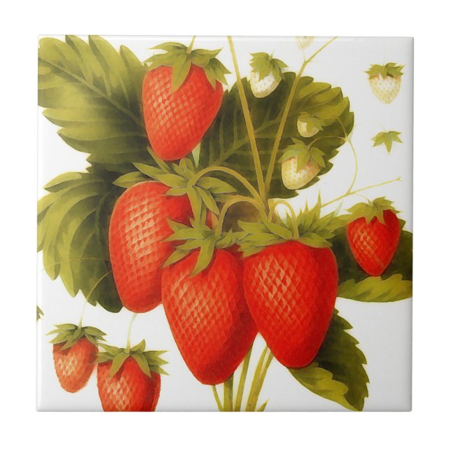 Vintage strawberries with green leaves ceramic tile (Front)