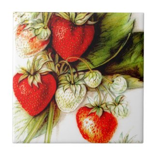Vintage strawberry ceramic tile