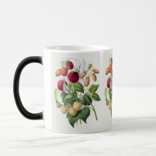 Vintage Strawberry coffee mug