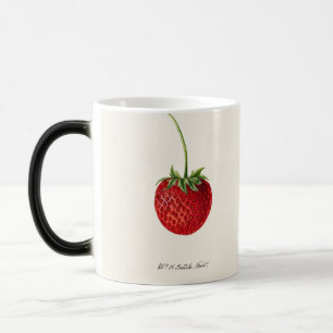 Vintage Strawberry Color Morph Mug