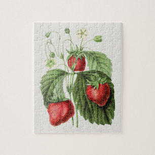 Vintage Strawberry Illustration Jigsaw Puzzle
