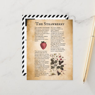 Vintage Strawberry Information Postcard