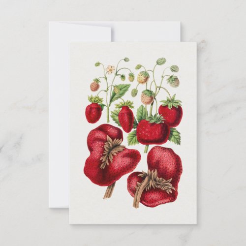 Vintage Strawberry  Invitation