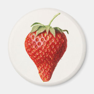Vintage strawberry magnet