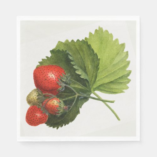 Vintage Strawberry Napkins