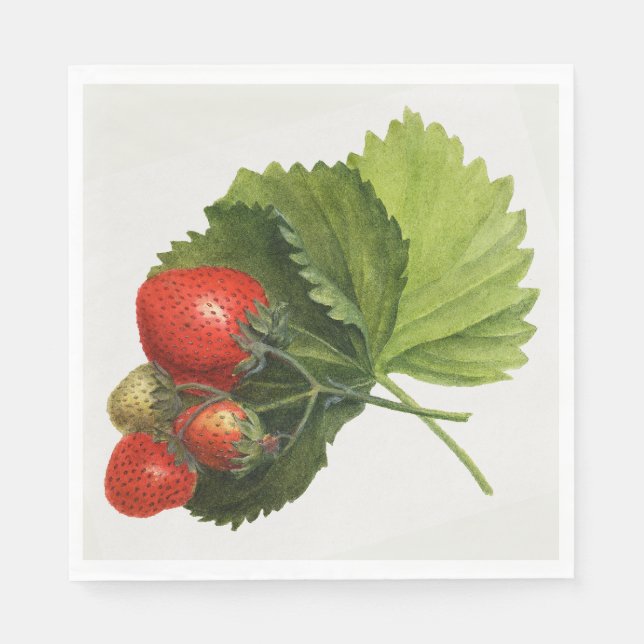 Vintage Strawberry Napkins (Front)