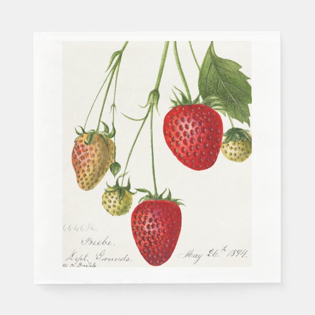 Vintage Strawberry Napkins (Front)