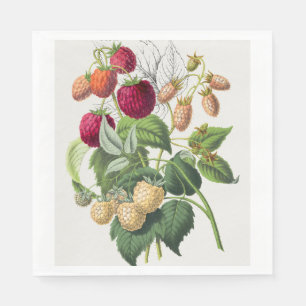 Vintage Strawberry Napkins