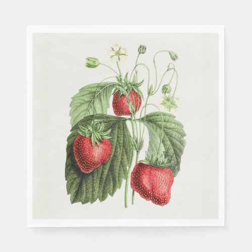 Vintage Strawberry Napkins