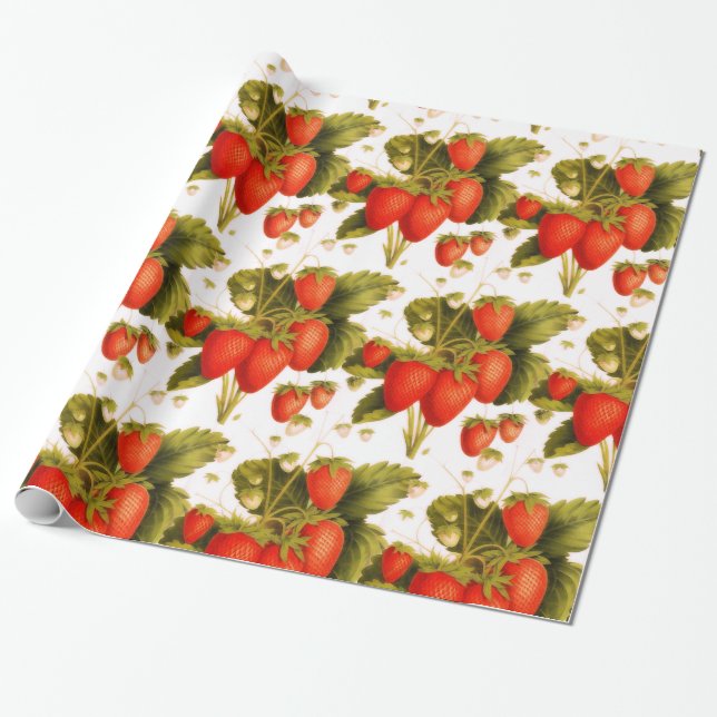 Vintage  strawberry orchard wrapping paper (Unrolled)