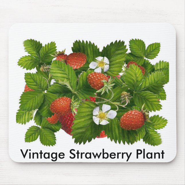 Vintage Strawberry Plant Mouse Pad (Front)