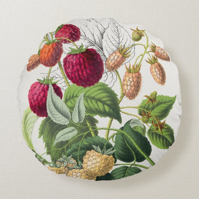 Vintage Strawberry  Round Pillow (Front)