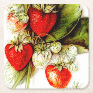Vintage strawberry square paper coaster