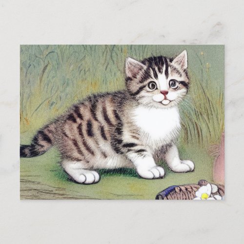 Vintage Striped Kitten Illustration Postcard