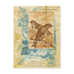 Vintage Style Animal Cool Birds All Occasions Holiday Postcard