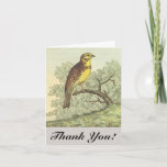 [ Thumbnail: Vintage Style, Bird On a Branch, "Thank You!" Card ]