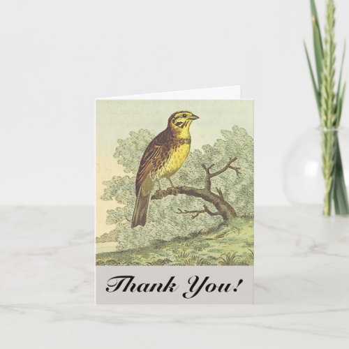 Vintage Style Bird on a Branch Thank You Card