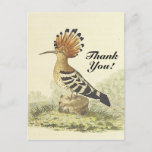 [ Thumbnail: Vintage Style, Bird, "Thank You!" Postcard ]