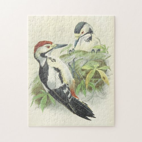 Vintage Style Birds Depiction Jigsaw Puzzle