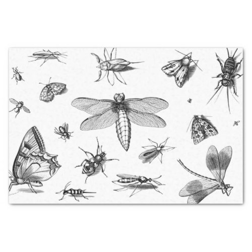 Vintage Style Black and White Insect Collage Pt 1 Tissue Paper