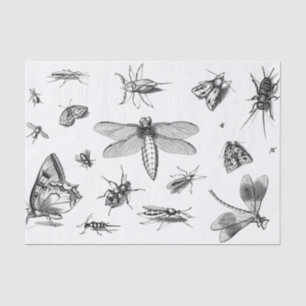 Vintage Style Black and White Insect Collage, Pt 1 Tissue Paper
