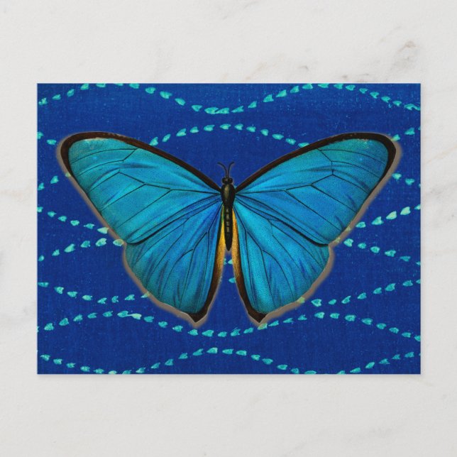 Vintage Style Blue Butterfly Postcard (Front)