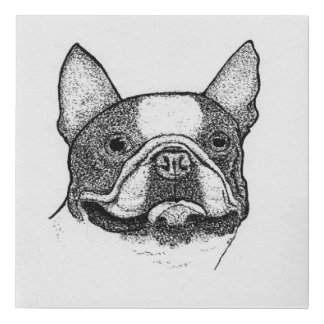 Vintage Style Boston Terrier Illustration Faux Canvas Print