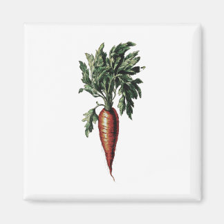 Vintage Style Carrot Image Magnet
