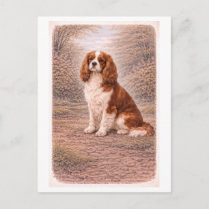 Vintage-Style Cavalier King Charles Spaniel Postcard