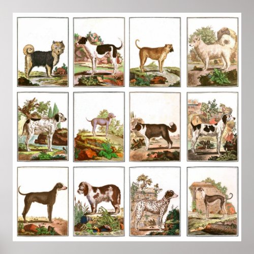 Vintage Style Dog Collage Poster