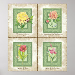 Vintage Style Floral - Peony, Rose, Tulip & Iris Poster