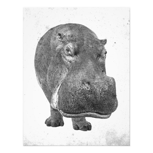 Vintage Style Hippopotamus PosterPrint Photo Print