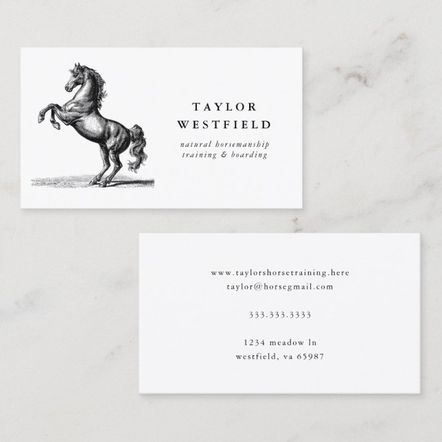Vintage Style Horse Sketch Equestrian Business Card (Front/Back)