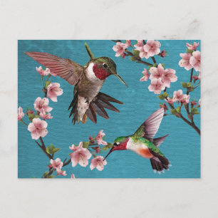 Vintage Style Hummingbird Painting Postcard