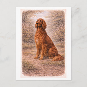 Vintage-Style Irish Setter Postcard