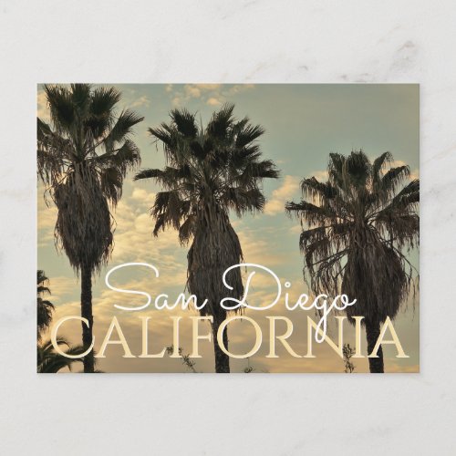 Vintage Style Palm Trees San Diego California Postcard