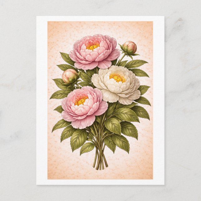 Vintage-Style Peony Botanical Illustration Postcard (Front)