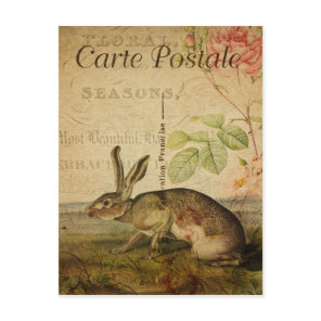 Vintage Style Rabbit French Carte Postale Postcard