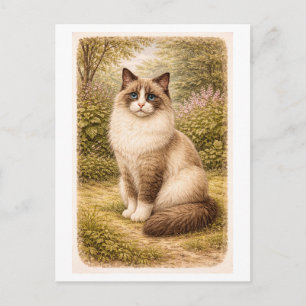 Vintage-Style Ragdoll Cat Illustration Postcard