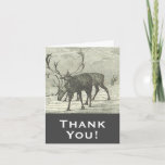 [ Thumbnail: Vintage Style Reindeer "Thank You!" Card ]
