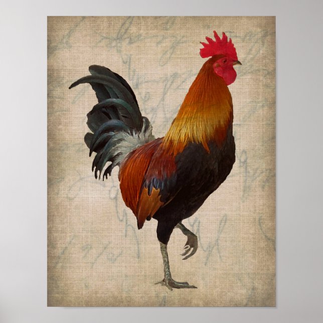 Vintage Style Rooster Design Poster (Front)