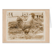 Vintage Style Rooster Photograph (Front Horizontal)