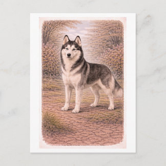 Vintage-Style Siberian Husky Postcard